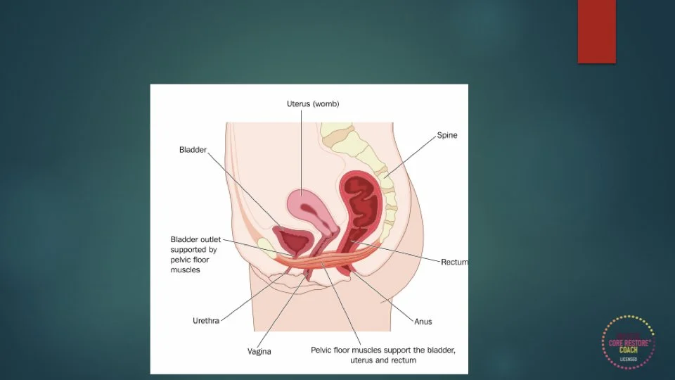 PF & CORE SEP 2024.006.jpeg