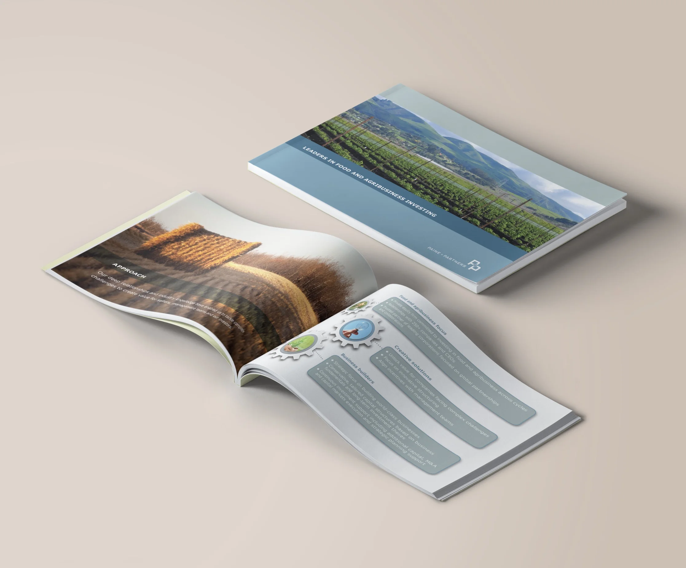 P+I-Brochure.jpg