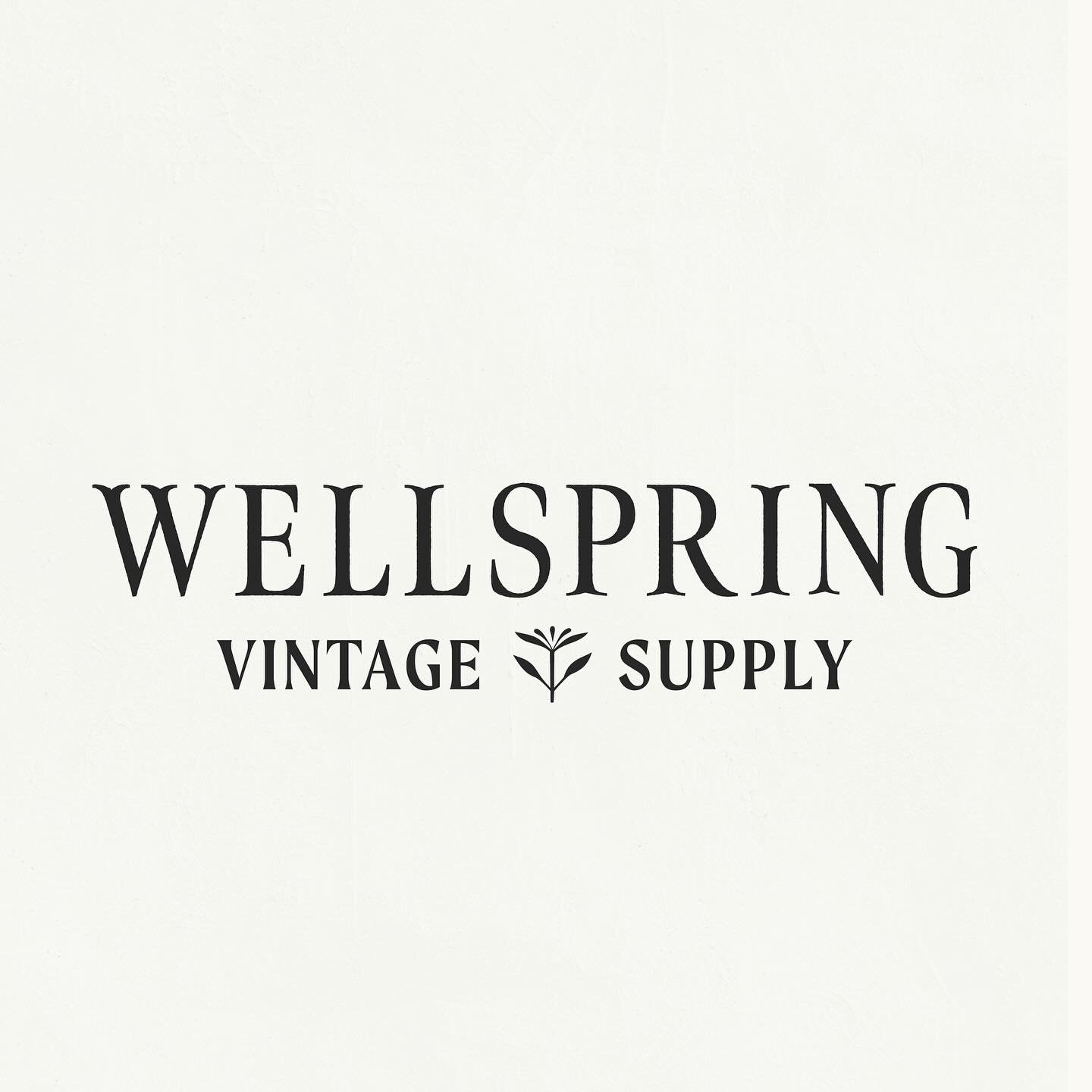Dawn of @wellspring_vtg has been in the vintage game for a while, but recently stepped out to start doing her  work under her Wellspring brand. 

I was excited to work with her because I LOVE her eye for vintage - she has a knack for finding the most