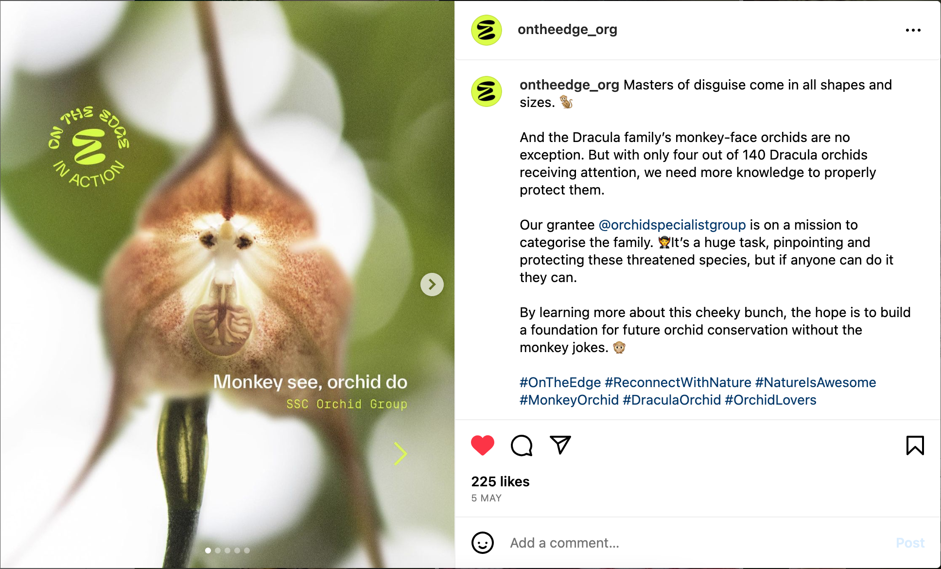 Masters of Disguise – IG post