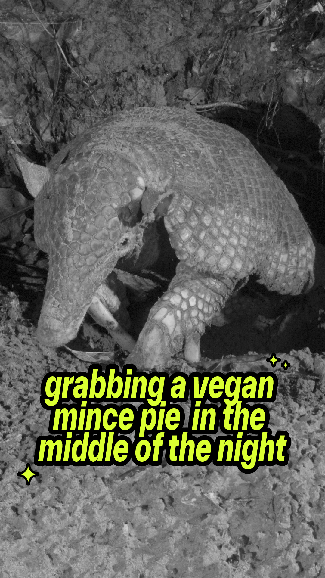 Giant Armadillo social meme