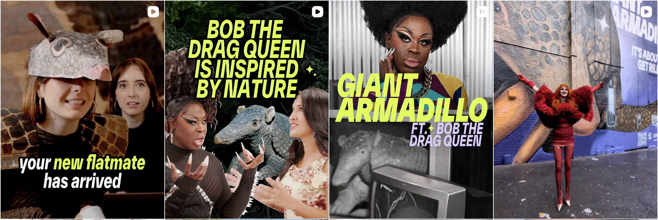 Giant armadillo campaign – social content