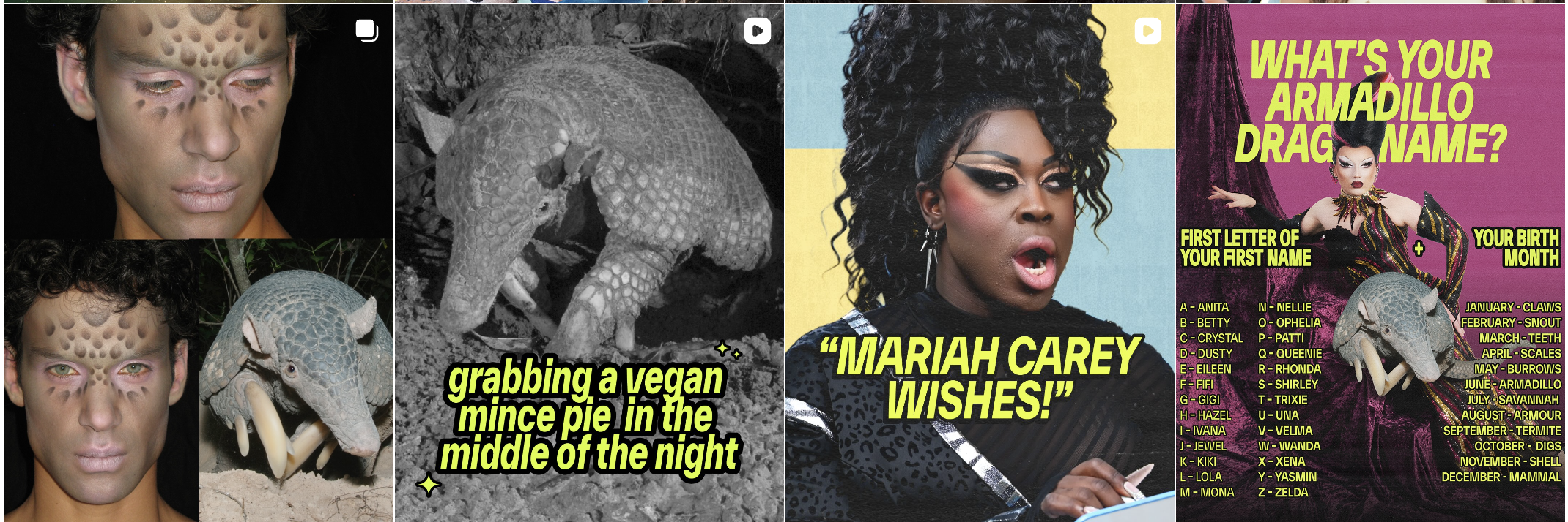 Giant armadillo campaign – social content