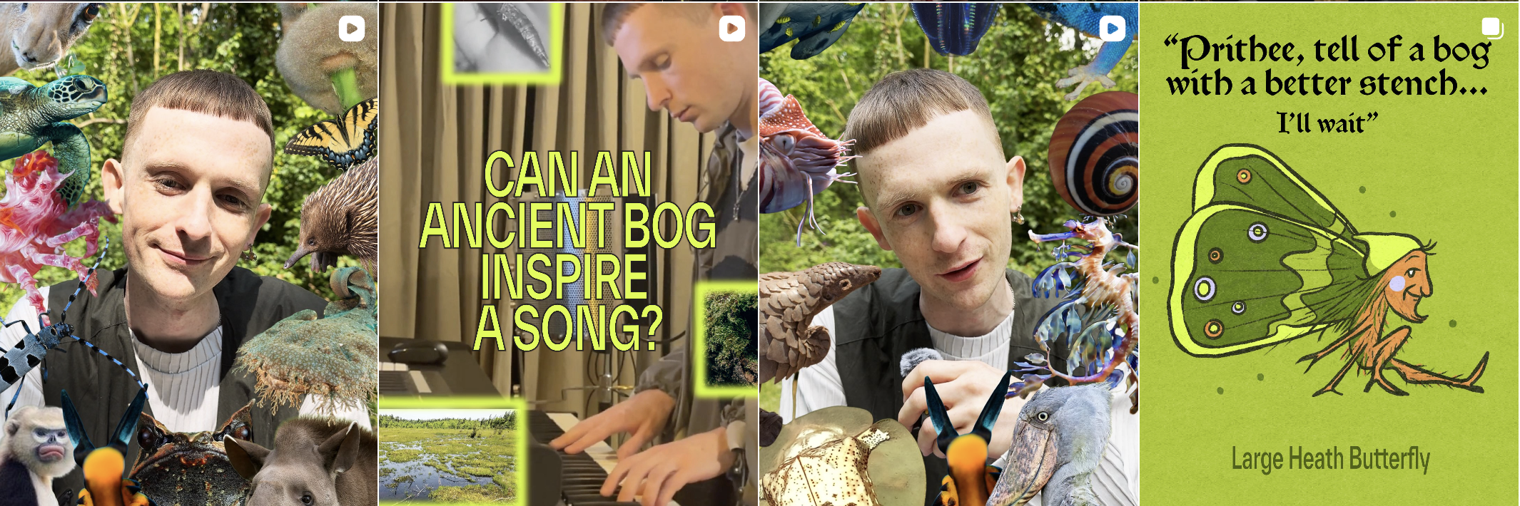 Rerooted campaign – social content