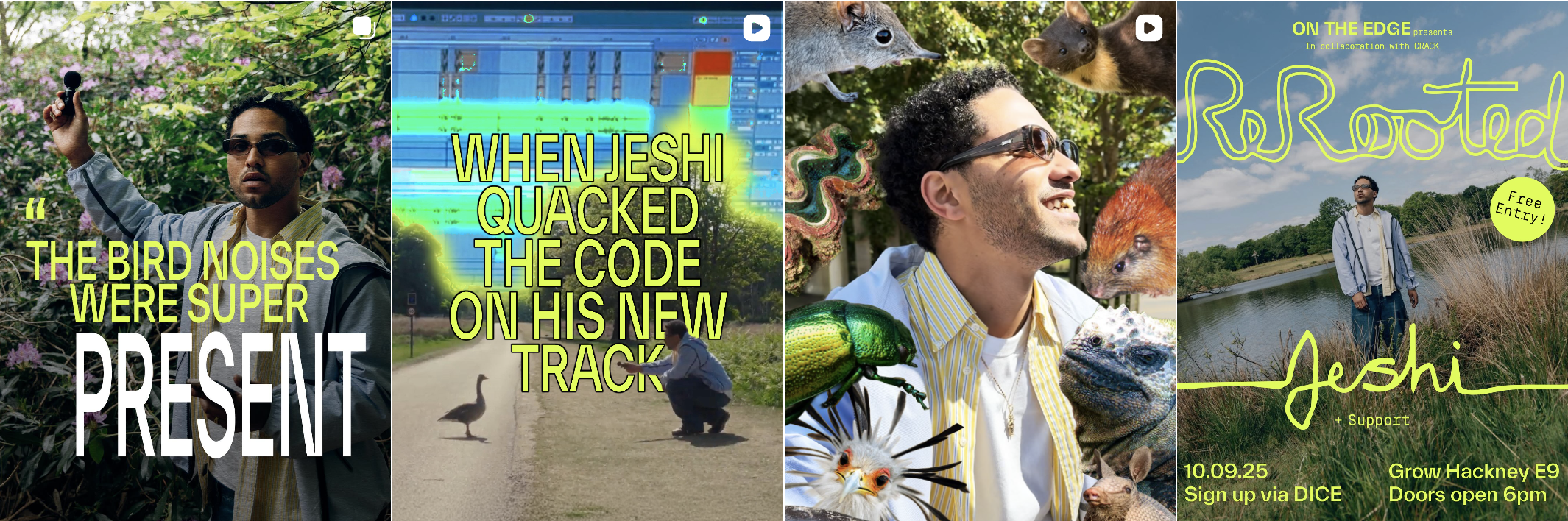 ReRooted campaign – social content