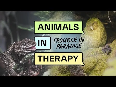 Animals in therapy campaign