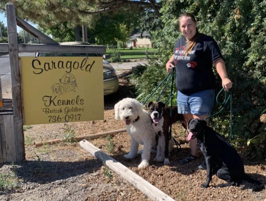 Training — Saragold Kennels