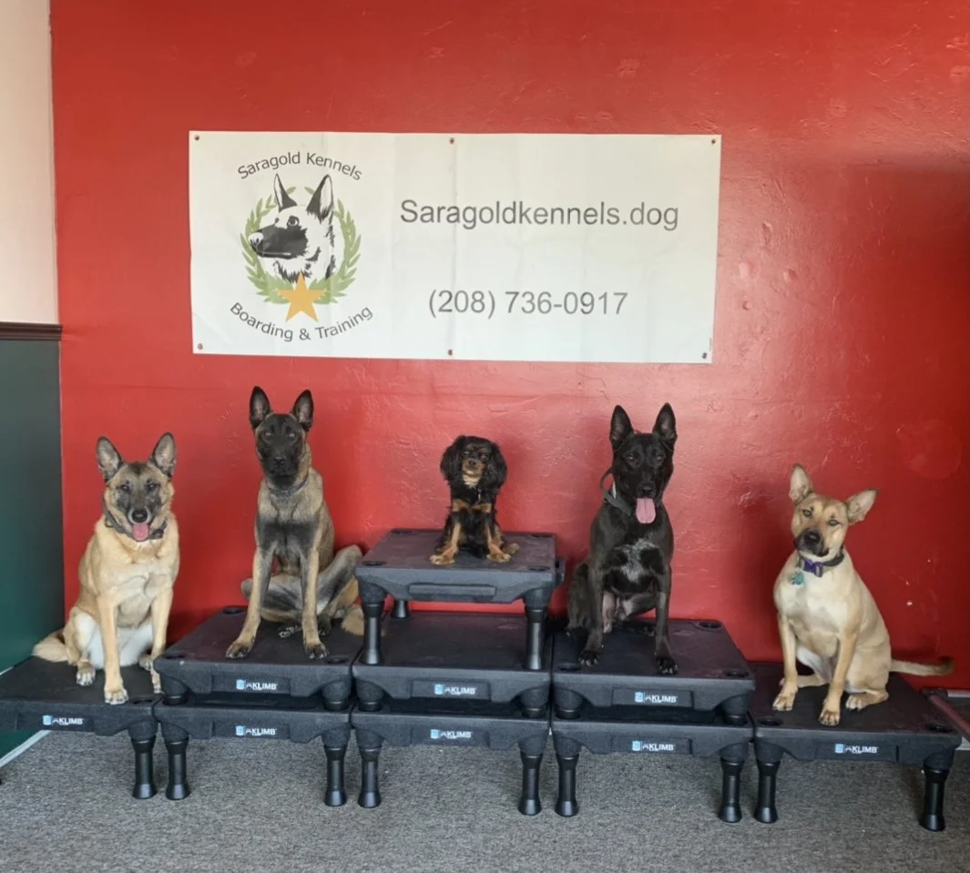 dextromethorphan for dogs dosage