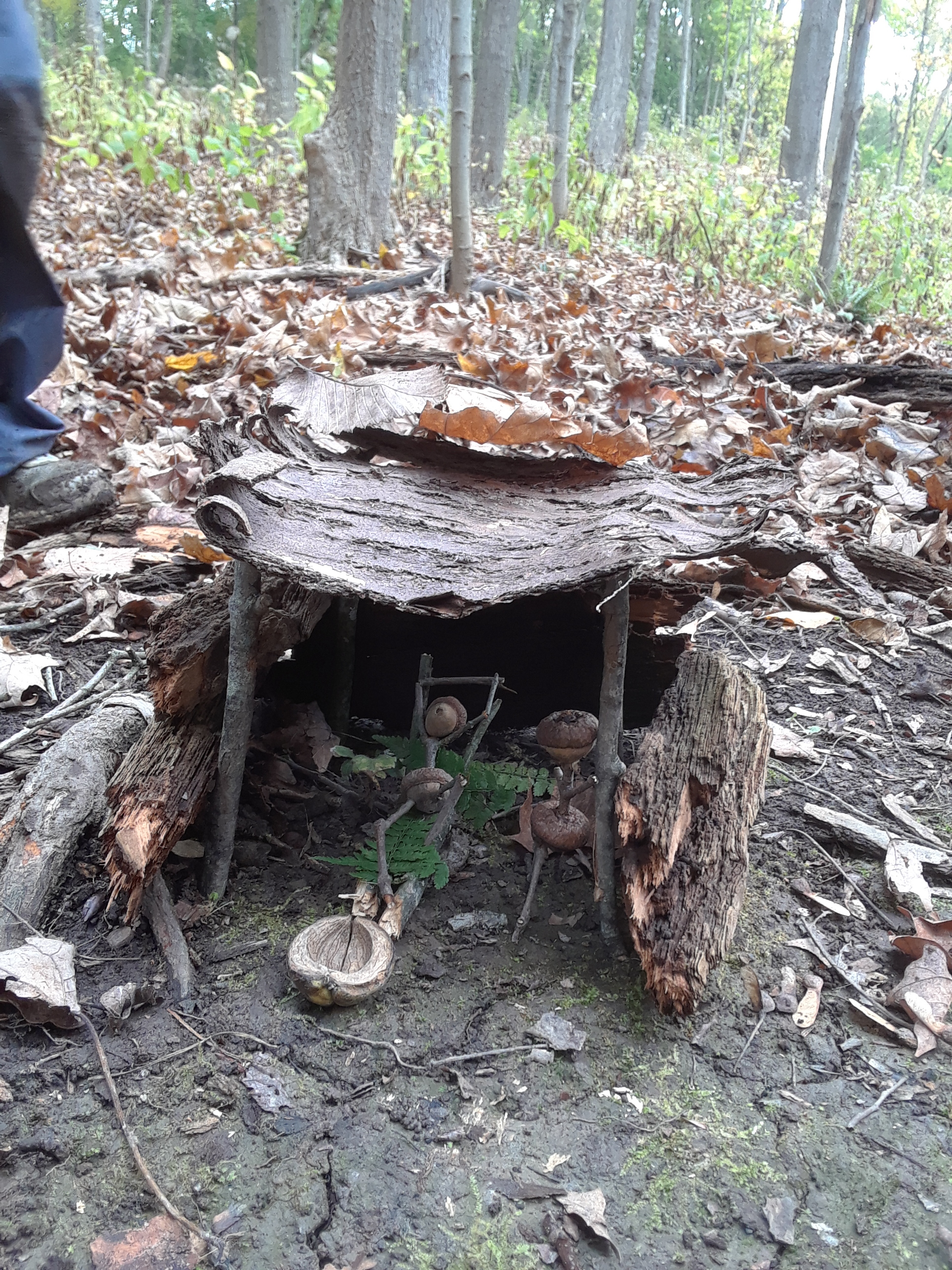 20171016_140637.jpg