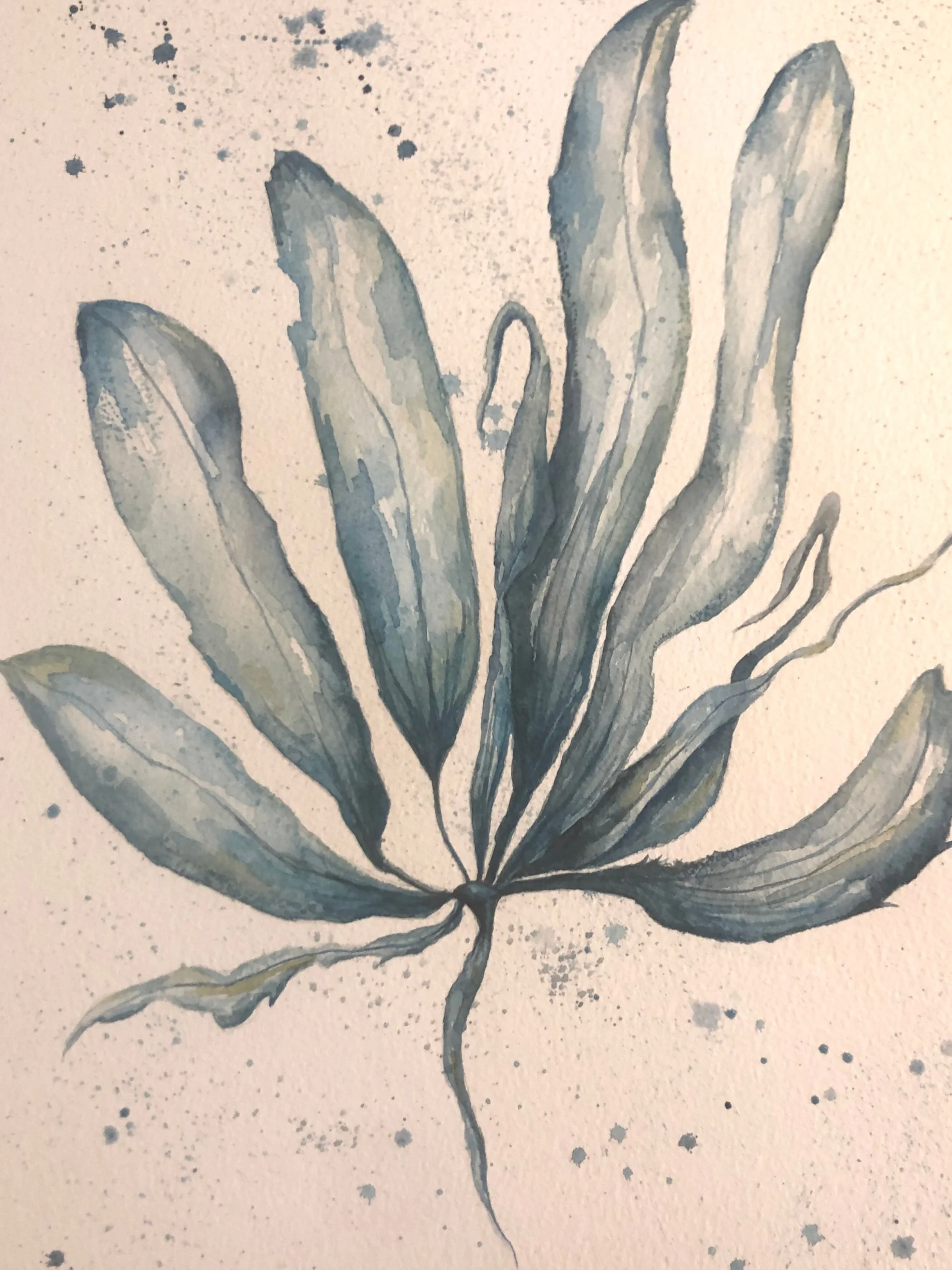 Teal seaweed original watercolour