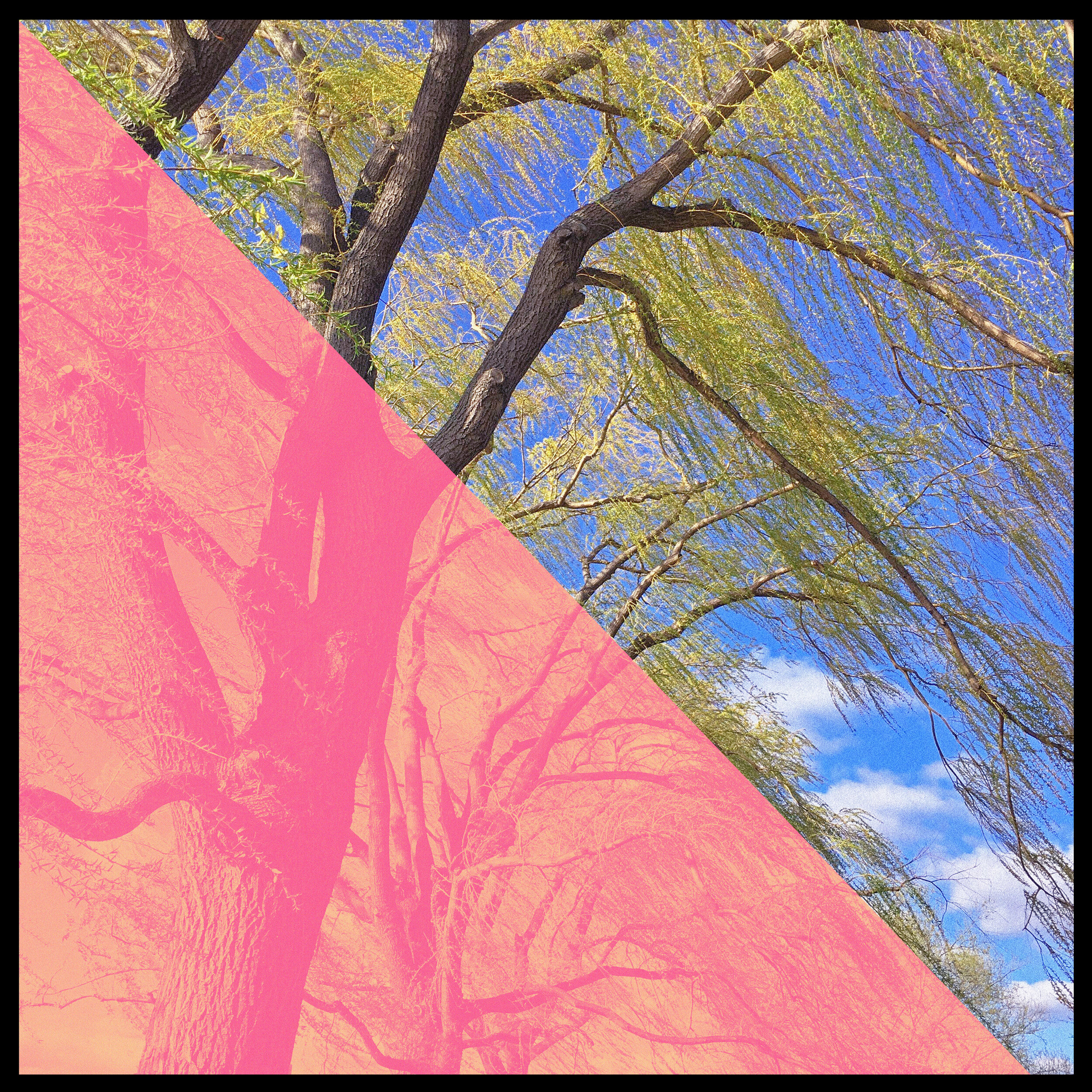 Briefly Wandering Internet.jpg