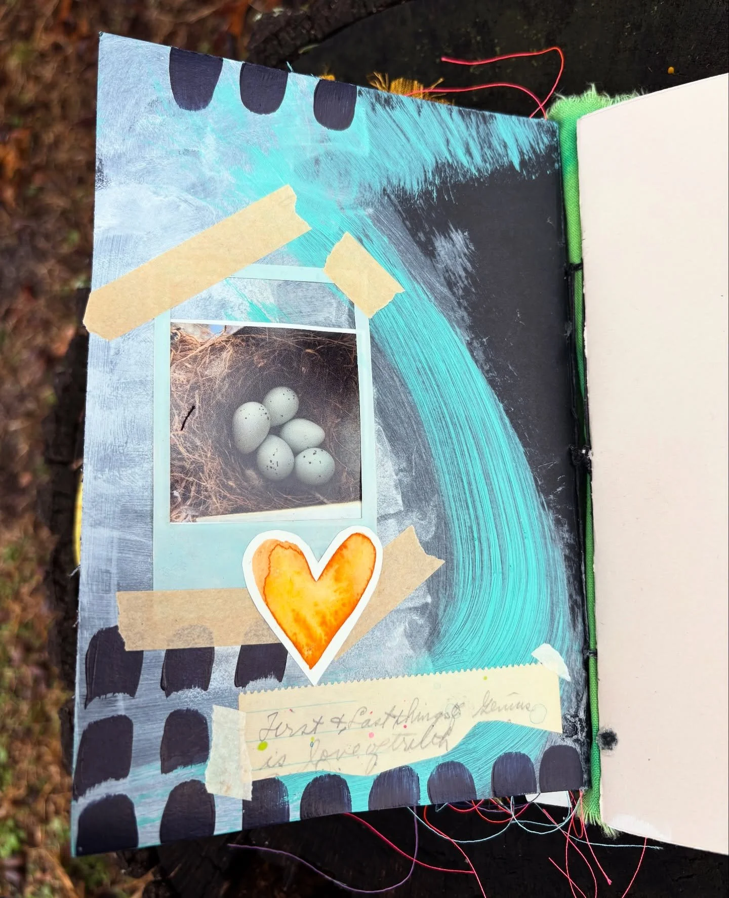 &ldquo;First and last things of genius is love of truth&rdquo;.
&bull;
These are words from an old vintage notebook that I found. What a gem of a find! The nest pic is from a robin&rsquo;s nest in my backyard a few years ago. 🤩 🪺 
&bull;
Speaking o