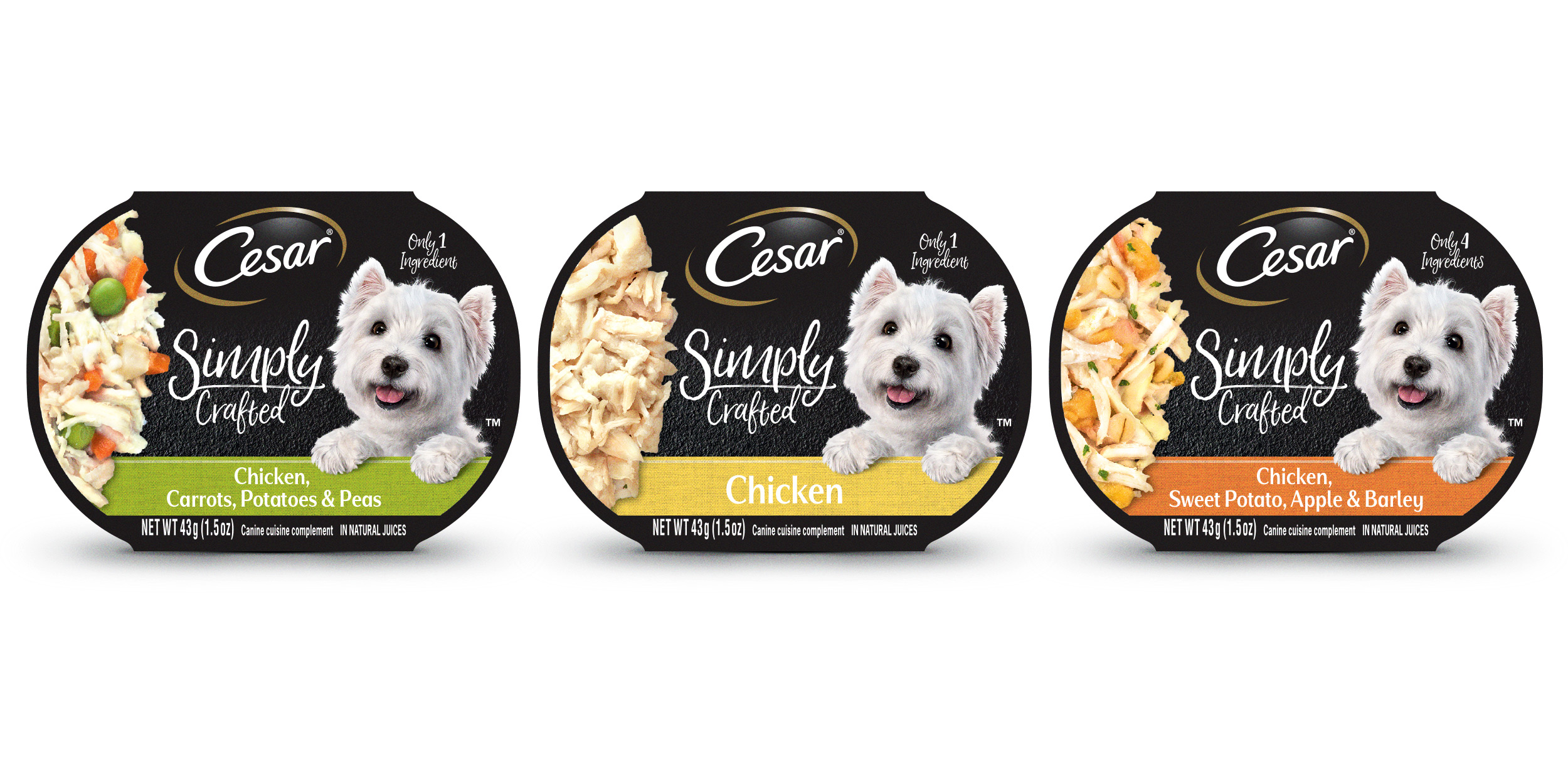 cesar simply crafted