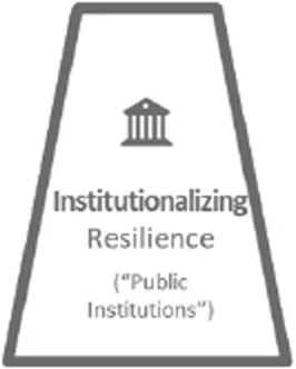 InstitutionalizingResilience.jpg