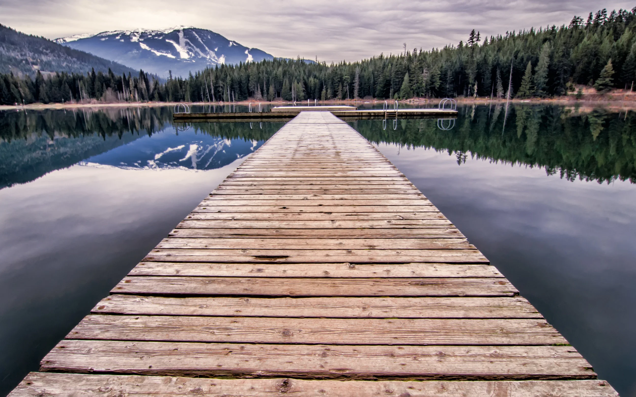 AdobeStock_46870445.jpeg