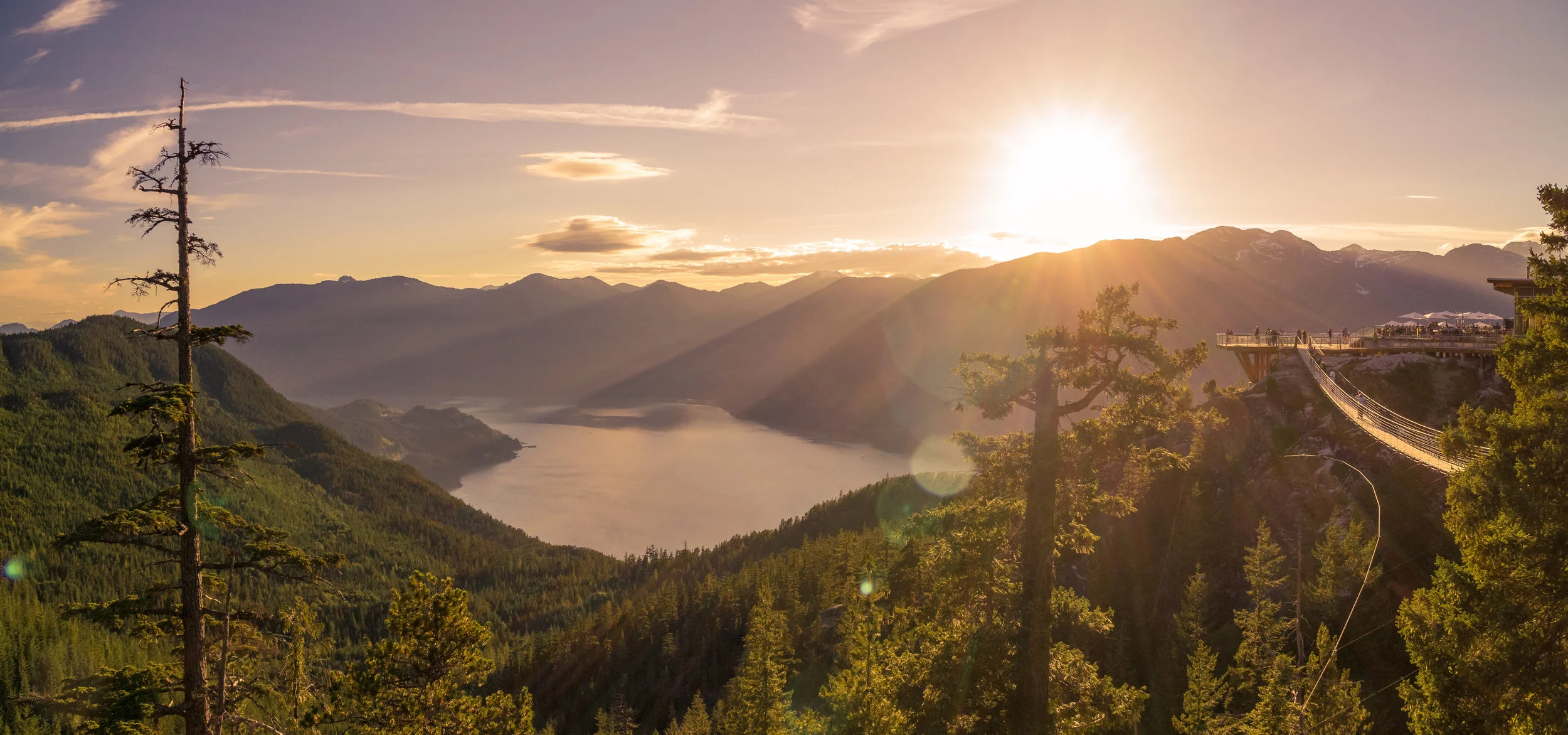AdobeStock_170758328.jpeg