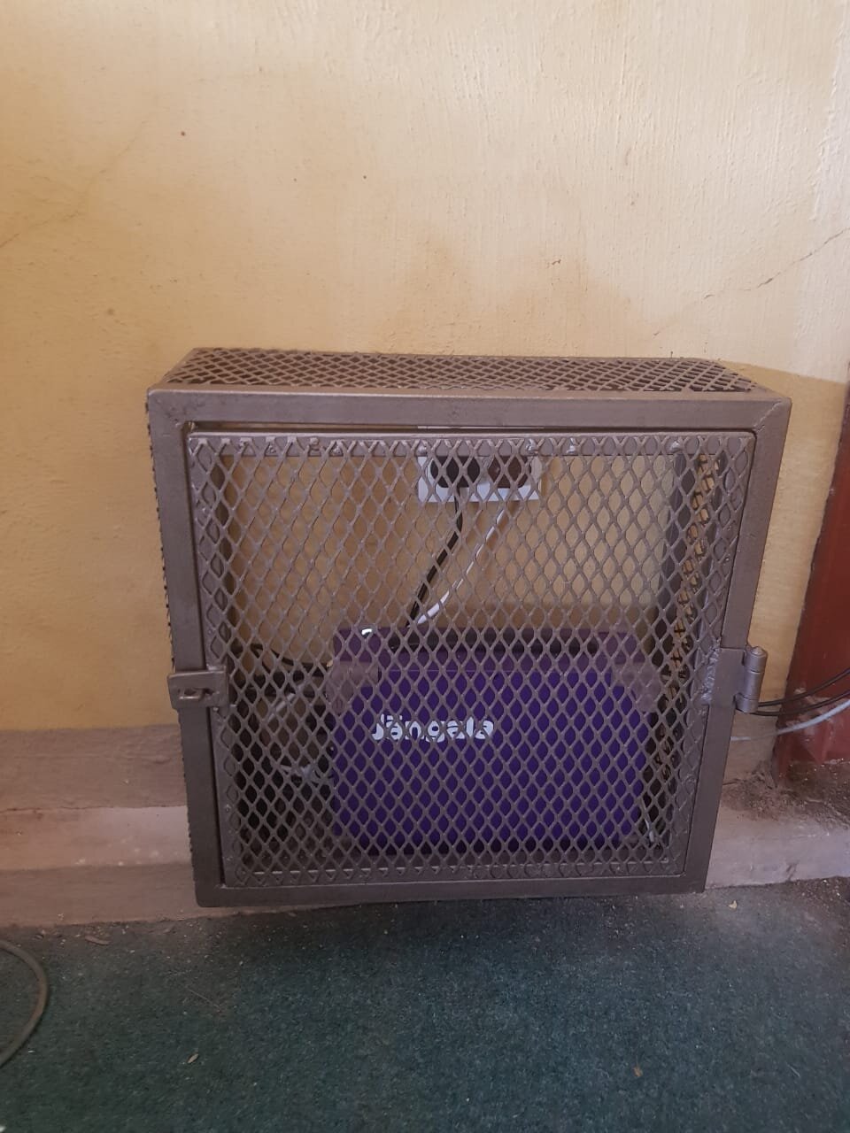 Embo Big Box in a cage.jpeg