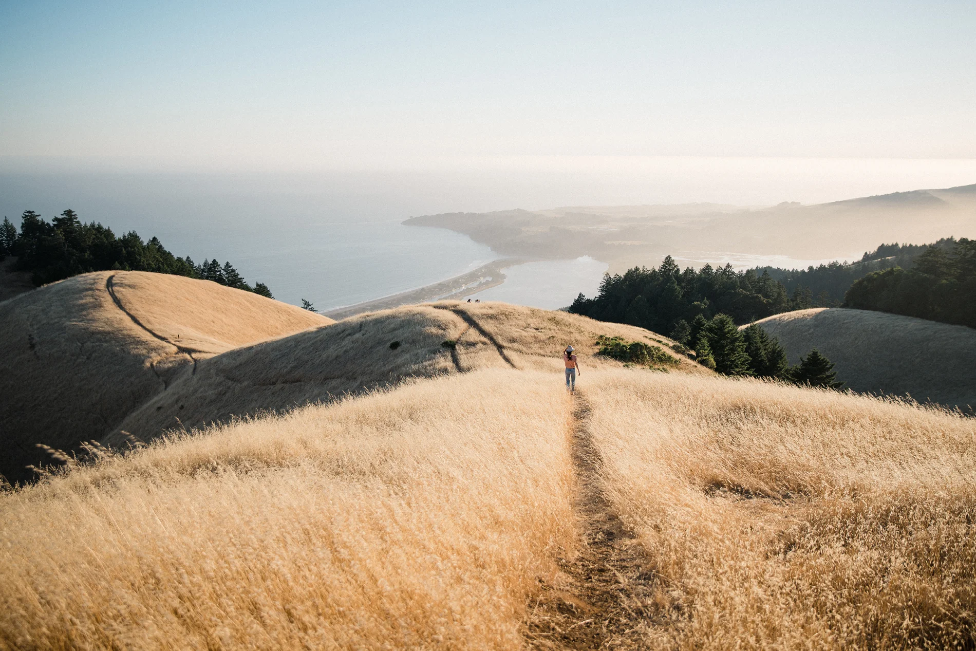 Image credit: Chris Ozer