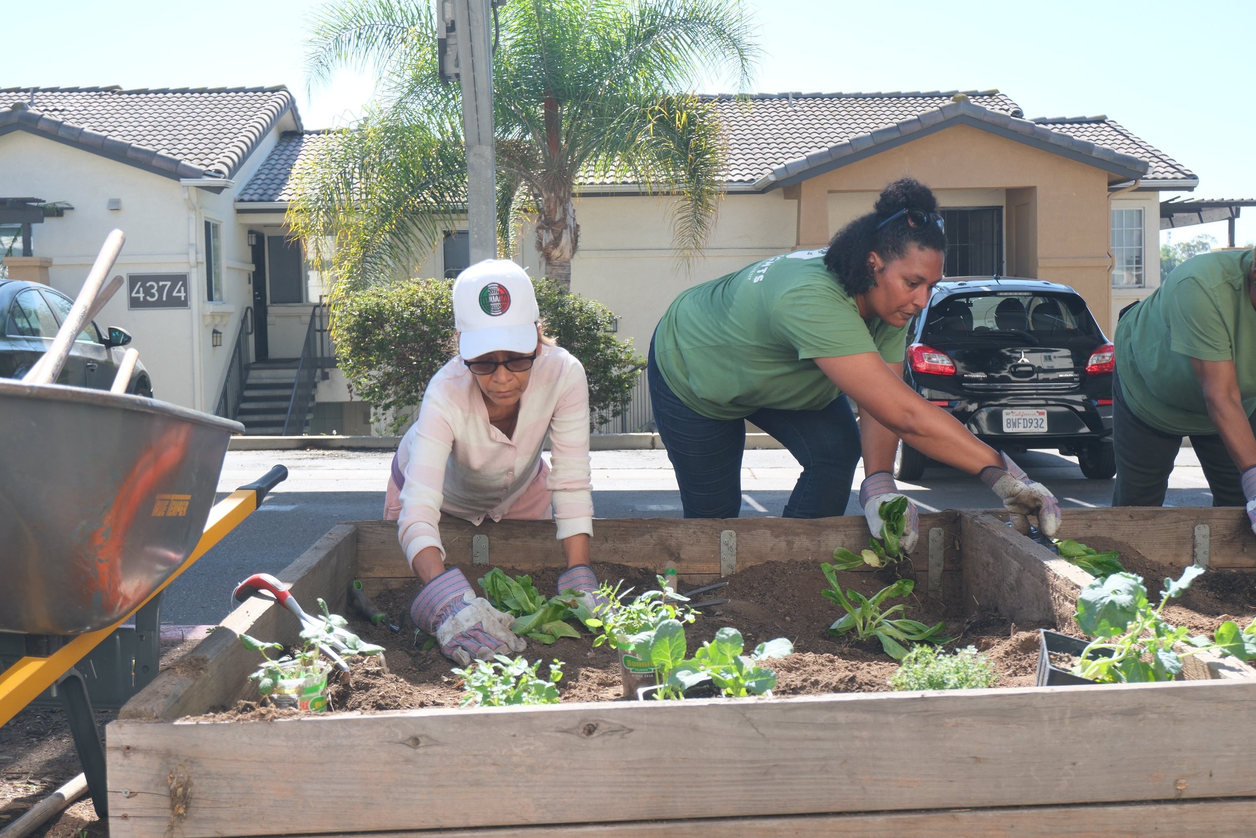 HP Community Activation Day. Resident Carmen. Garden Enhancement.JPG