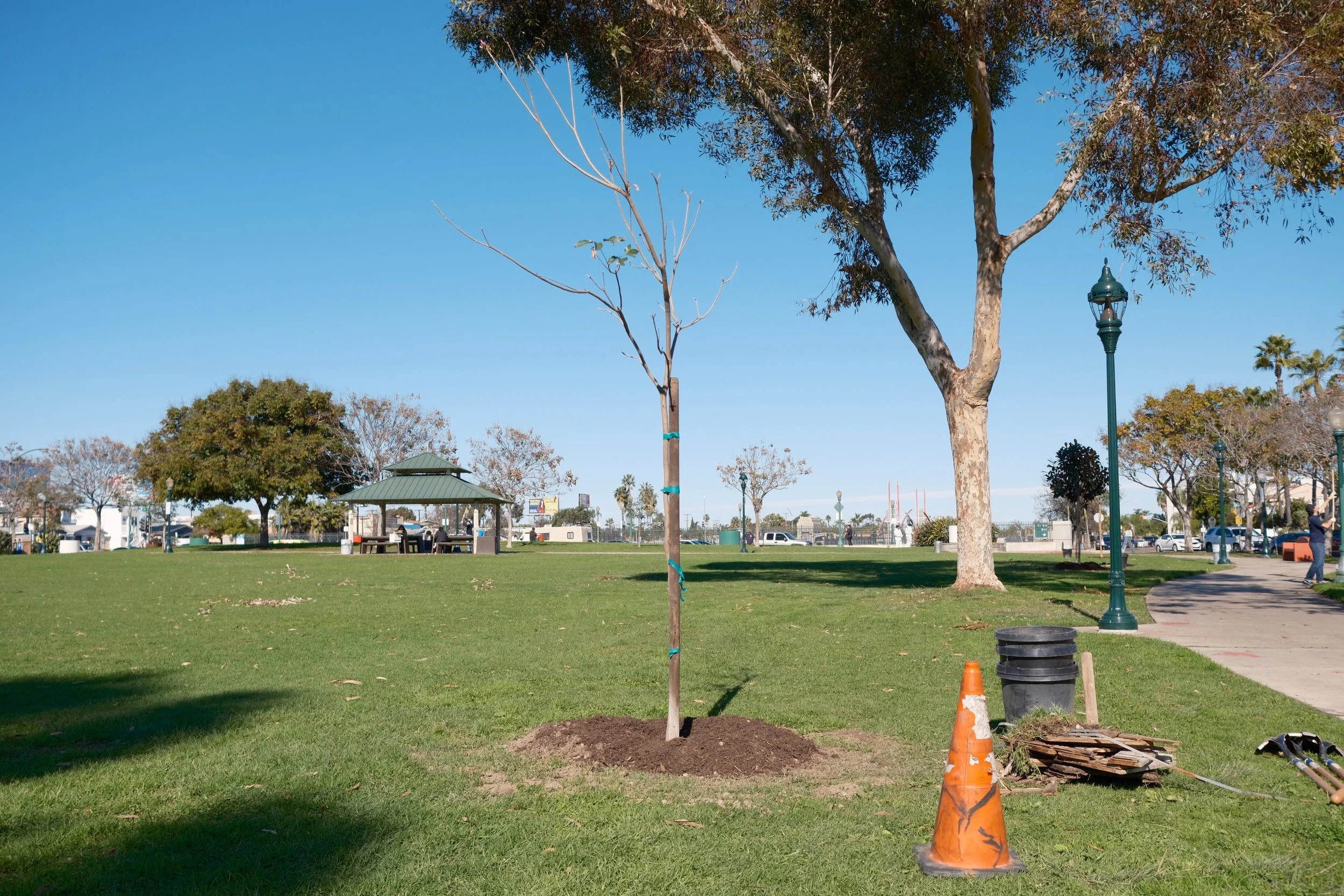 Teralta Park Beautification Day.Tree Planting.JPG