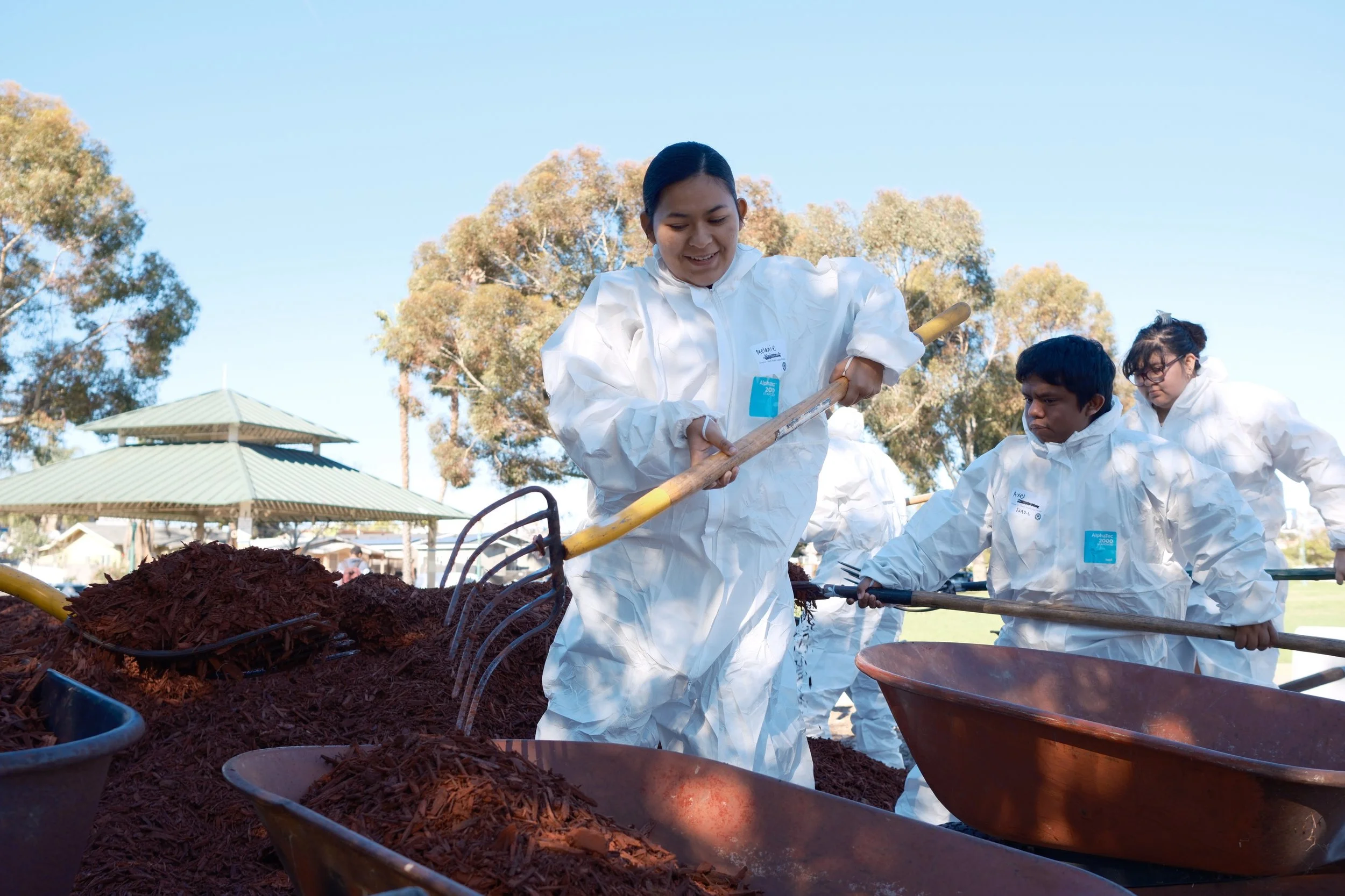 Azalea Beautification Day