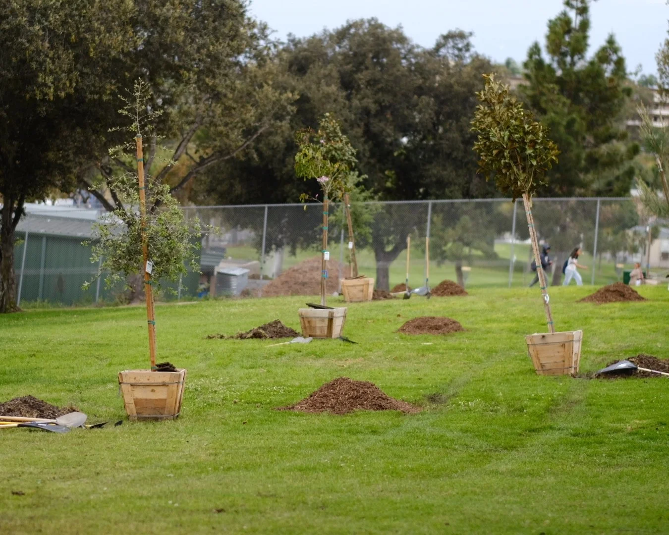 Teralta Park Beautification