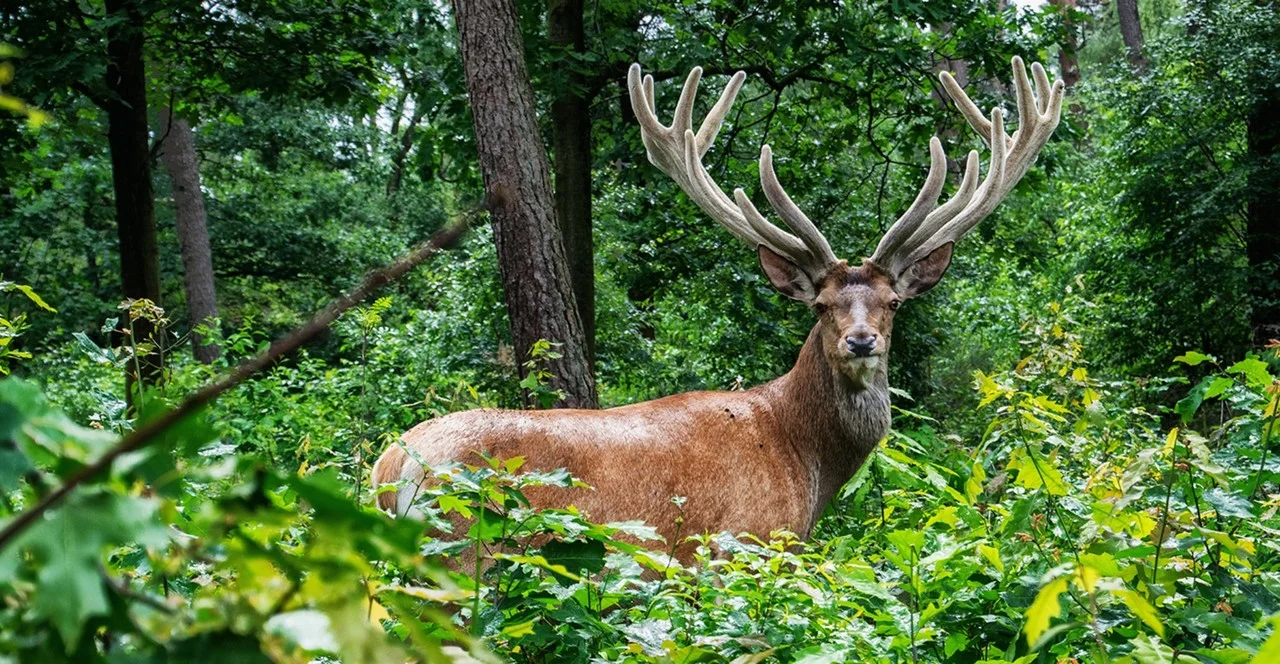 Networking: a cautionary tale