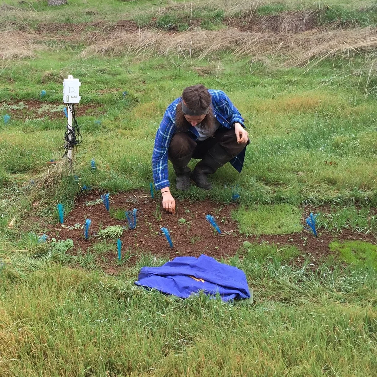 CAITLIN WHITE , Graduate Student Education MS, MPA, Indiana University, Bloomington; BA, University of California, San Diego Research Interests: plant community ecology, restoration ecology, quantitative ecology. California Rangeland Project caitlin.t.white@colorado.edu