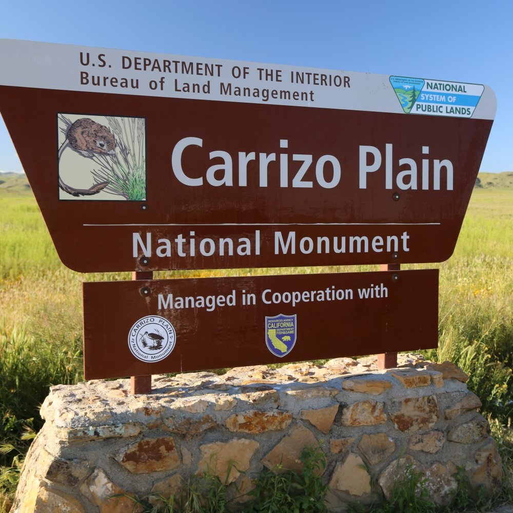Carrizo Plains National Monument