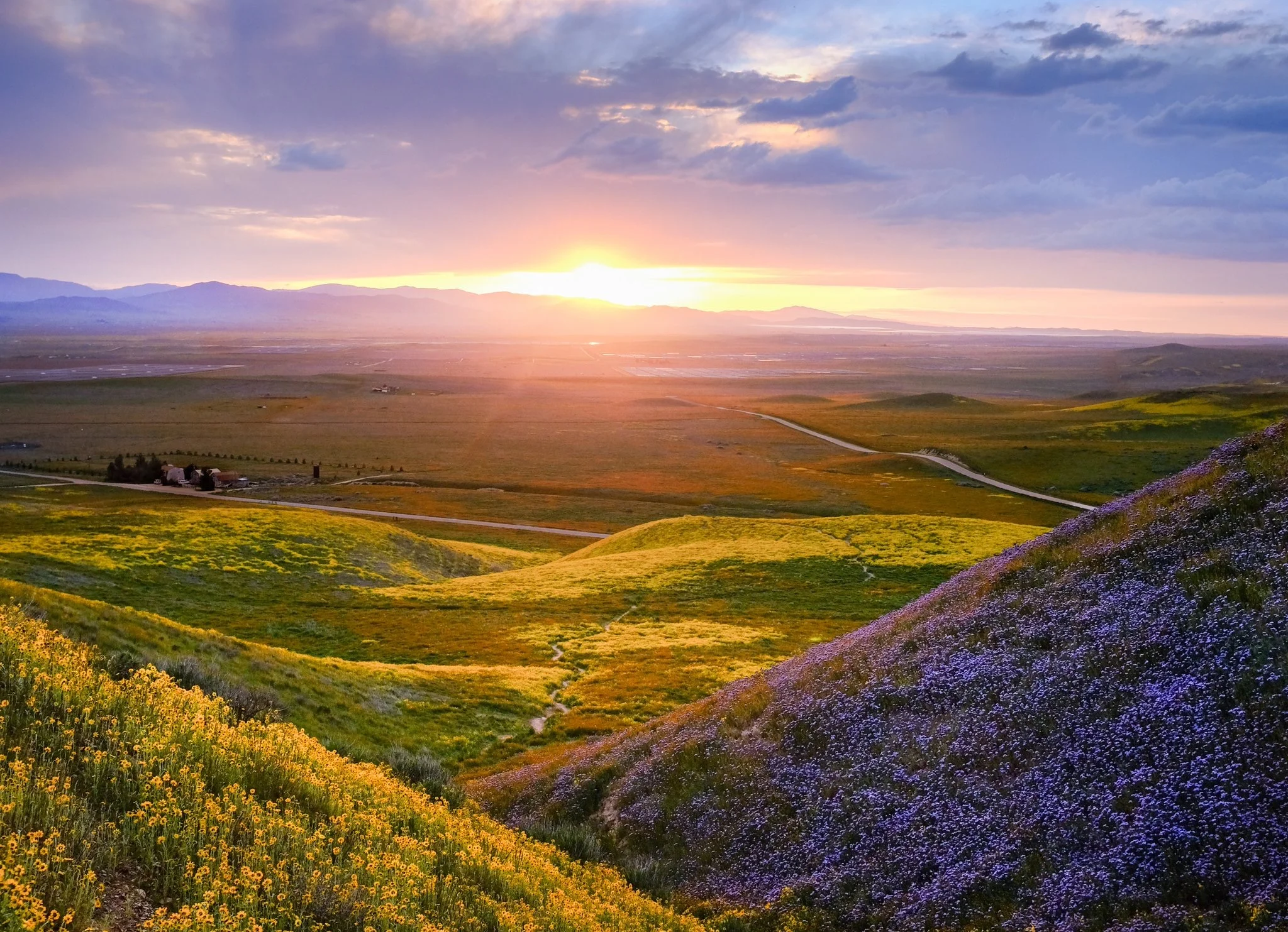 Josh joins faculty at Idaho State!