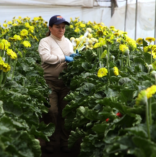 businessinsider_d6db62d4_Screen Shot 2019-02-08 at 1.31.35 PM.png