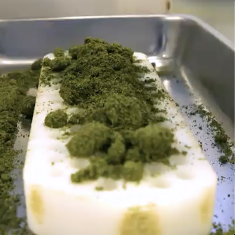 Screen Shot 2020-10-12 at 12.41.16 PM.png