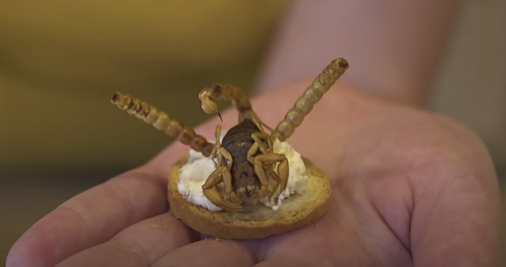 Screen Shot 2020-10-12 at 1.13.45 PM.png