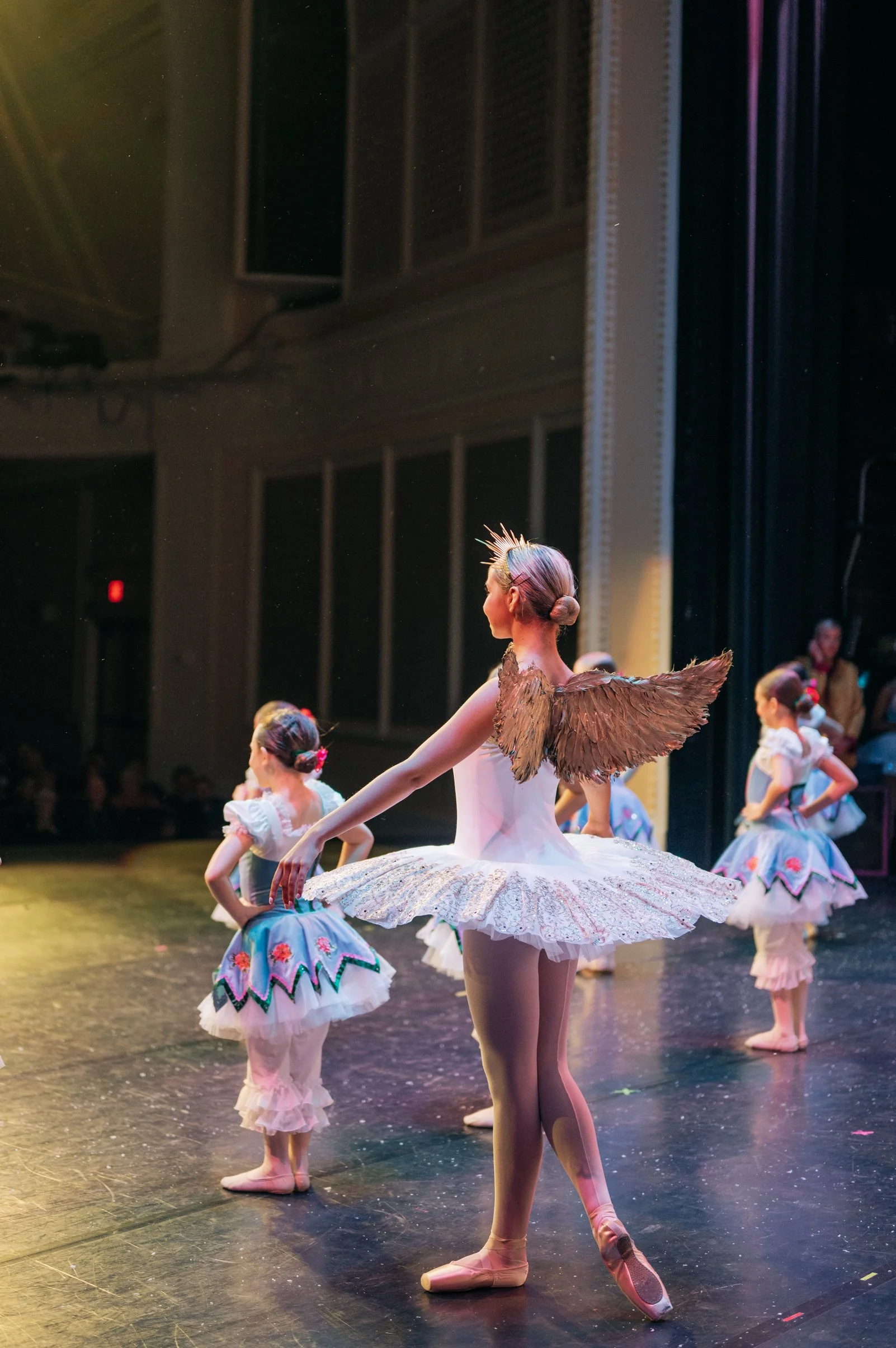 NutcrackerCallAct2-93 (1).jpg