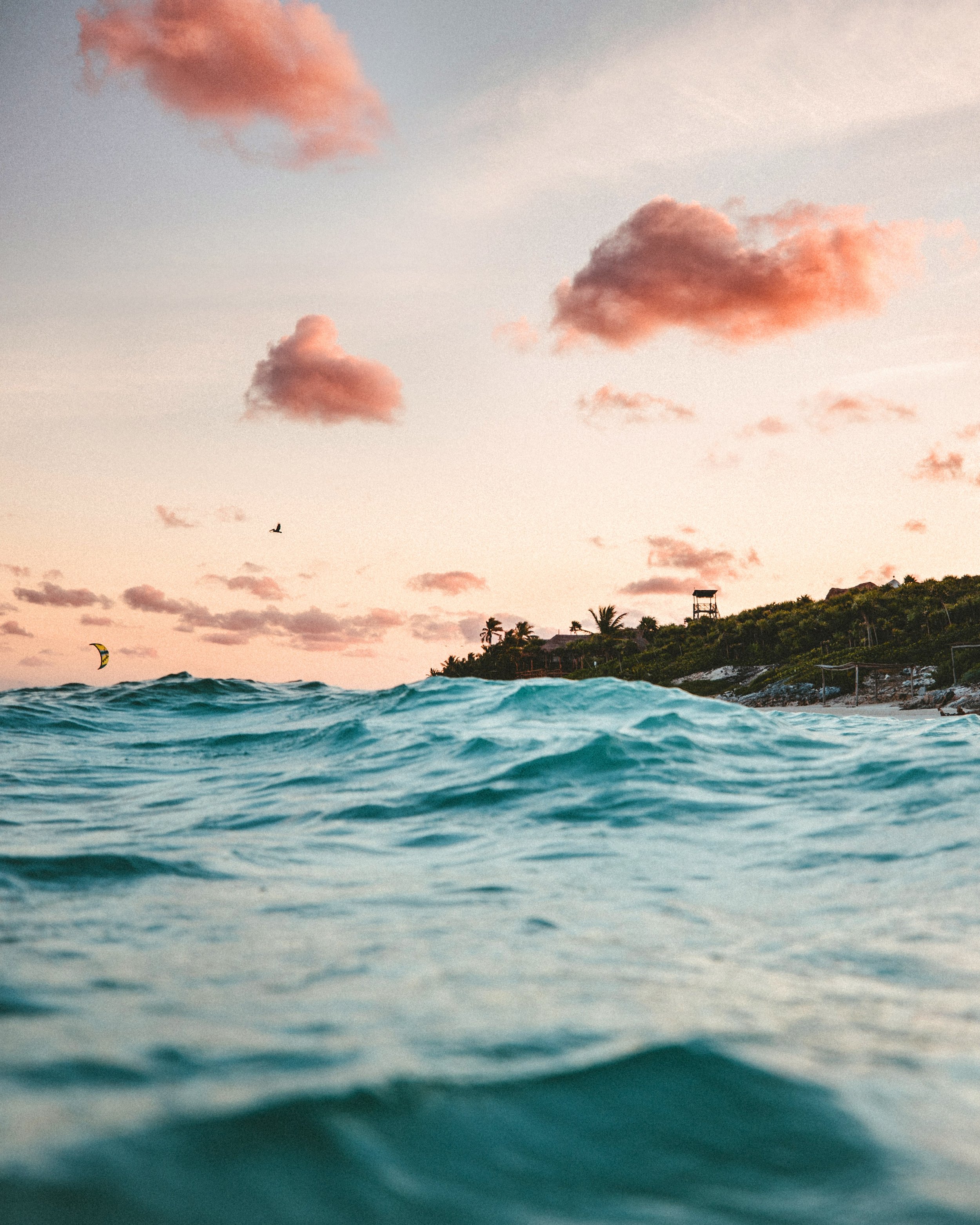 earth-608344-unsplash.jpg