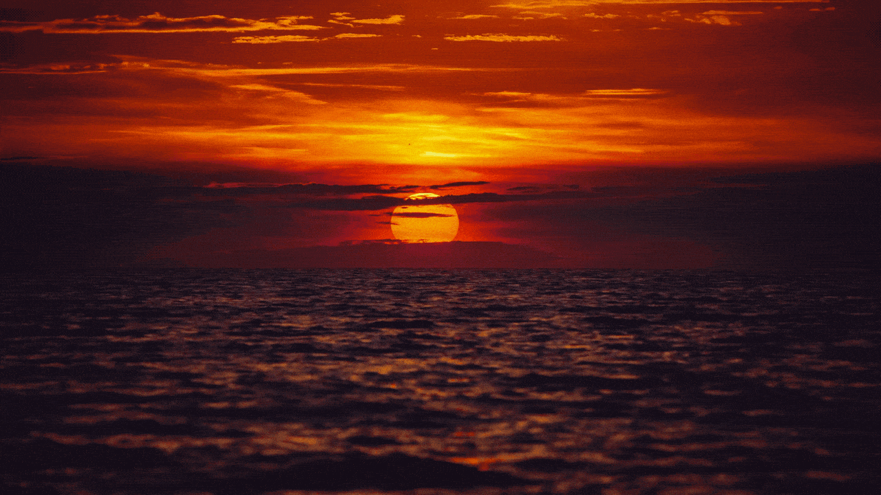 Jama-min.gif