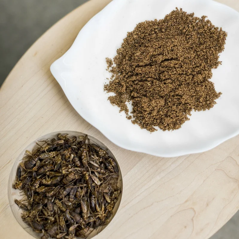 Plates+with+powder+and+roasted+small.jpg