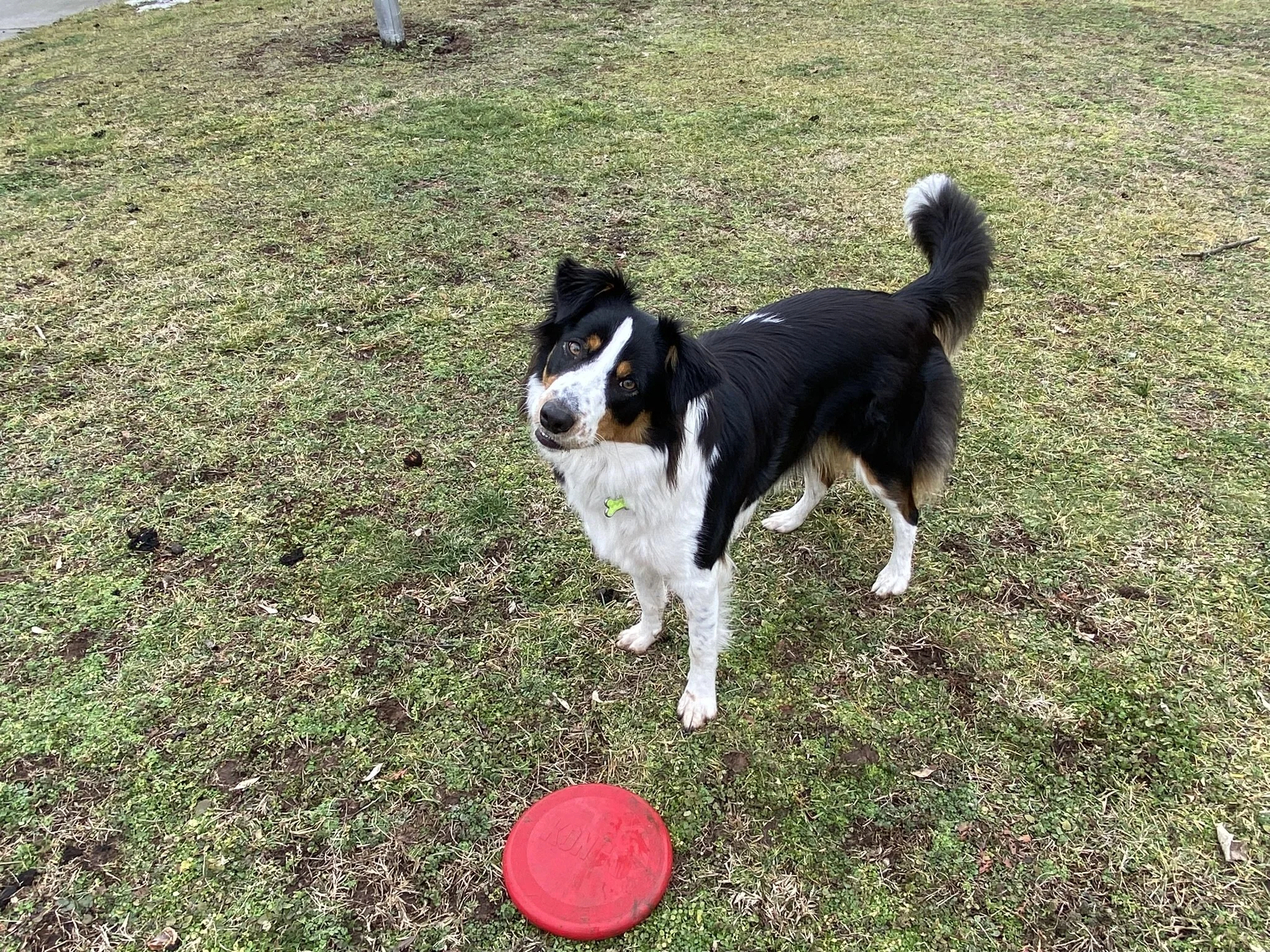 Member Spotlight: Carolyn Biggins