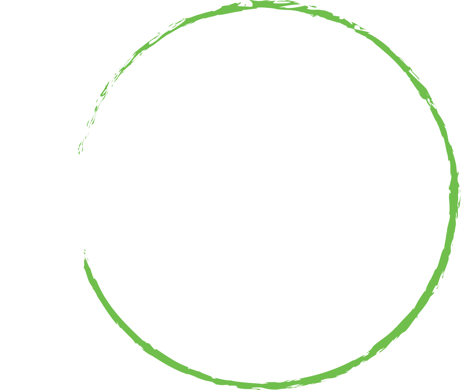The Leadership Project - Revolutionary Leadership Program
