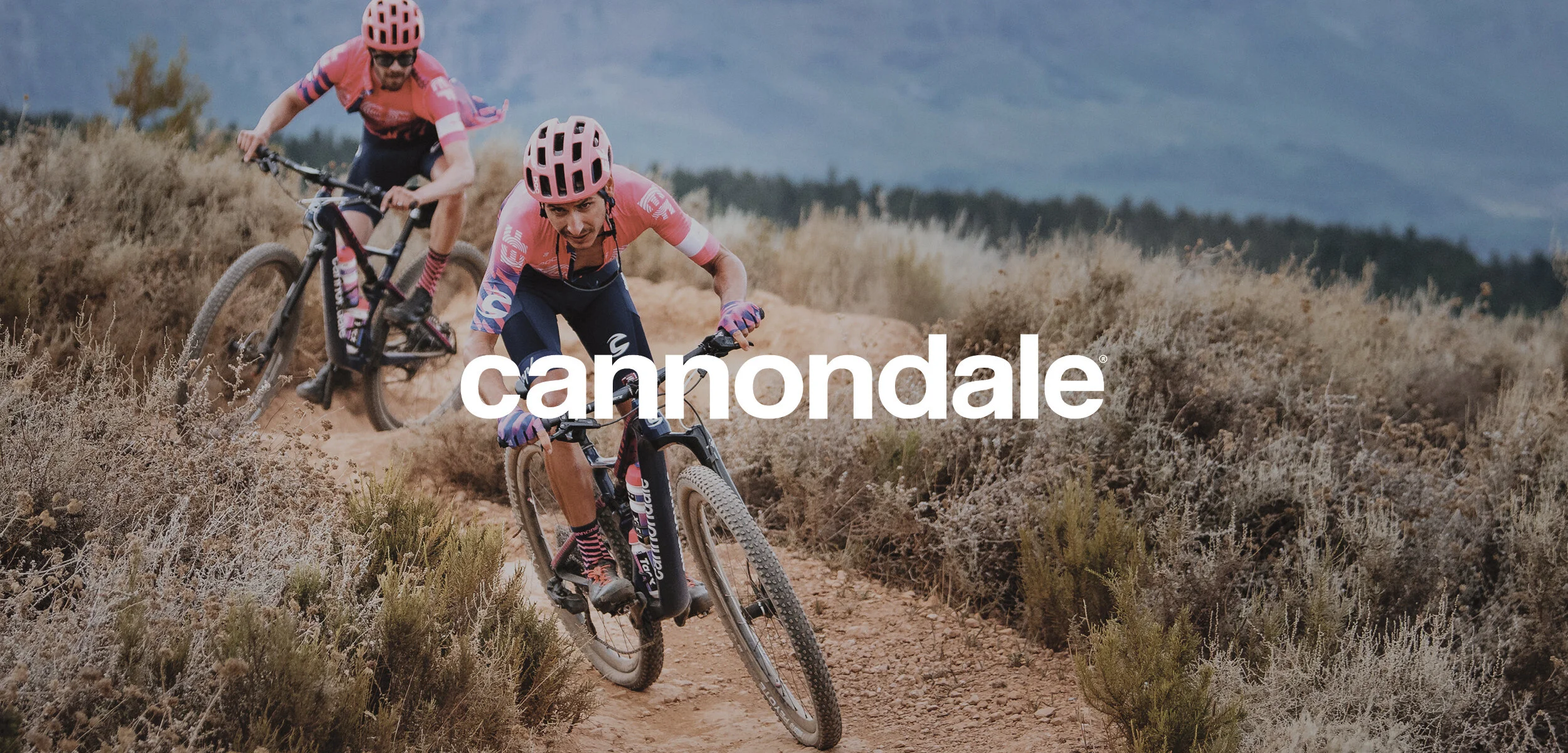 psicycling-banner-6.jpg