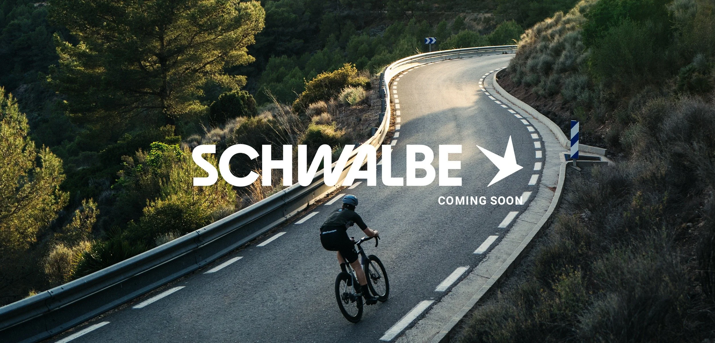 psicycling-banner-Schwabble.jpg