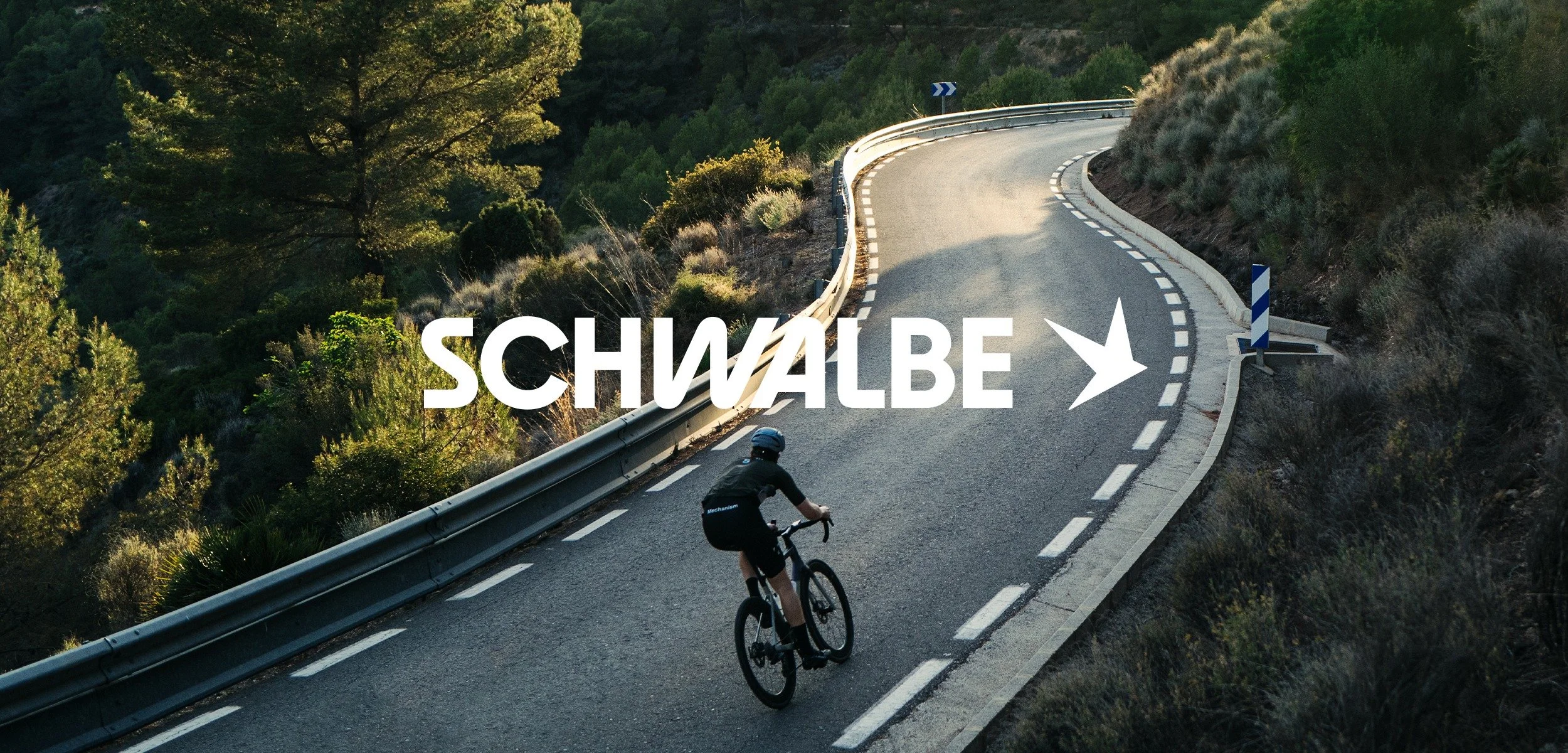 psicycling-banner-Schwabble-here (1).jpg