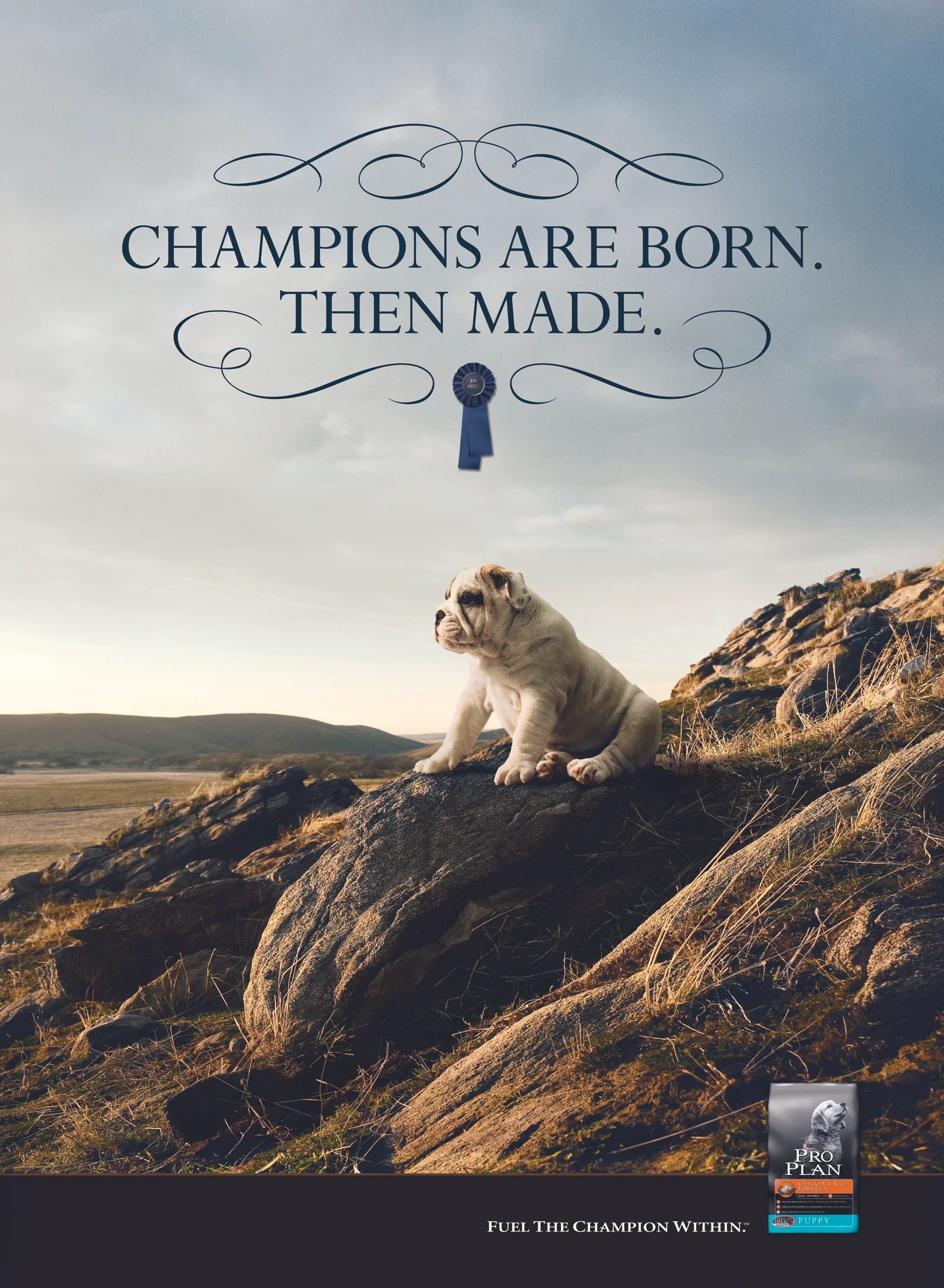 Purina_Champions_Poster.jpg