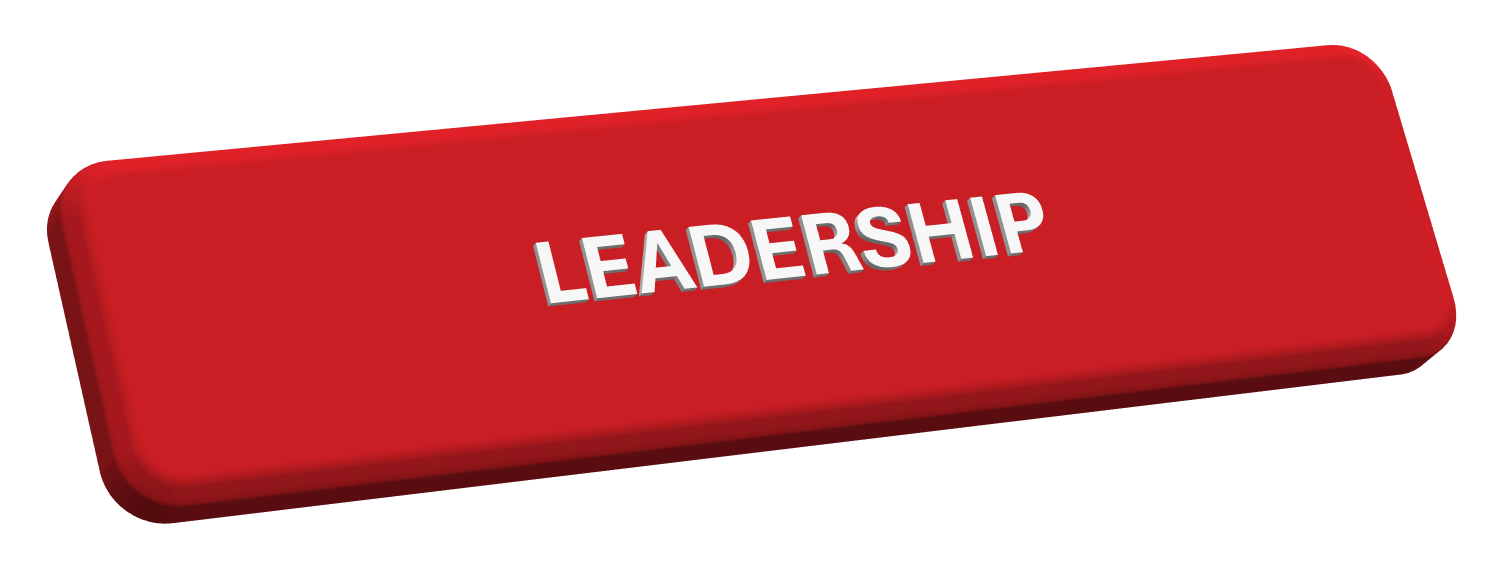 leadership-seydways-consulting