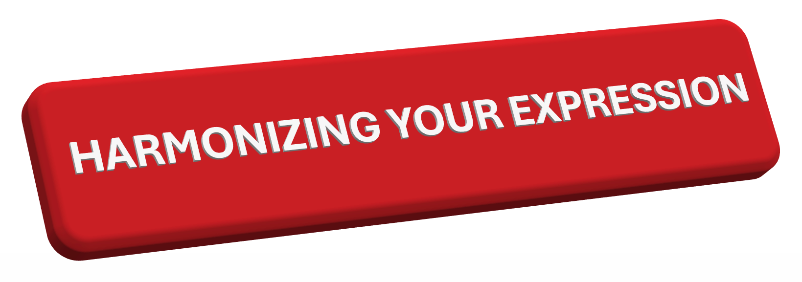 harmonizing-your-expression-seydways-consulting