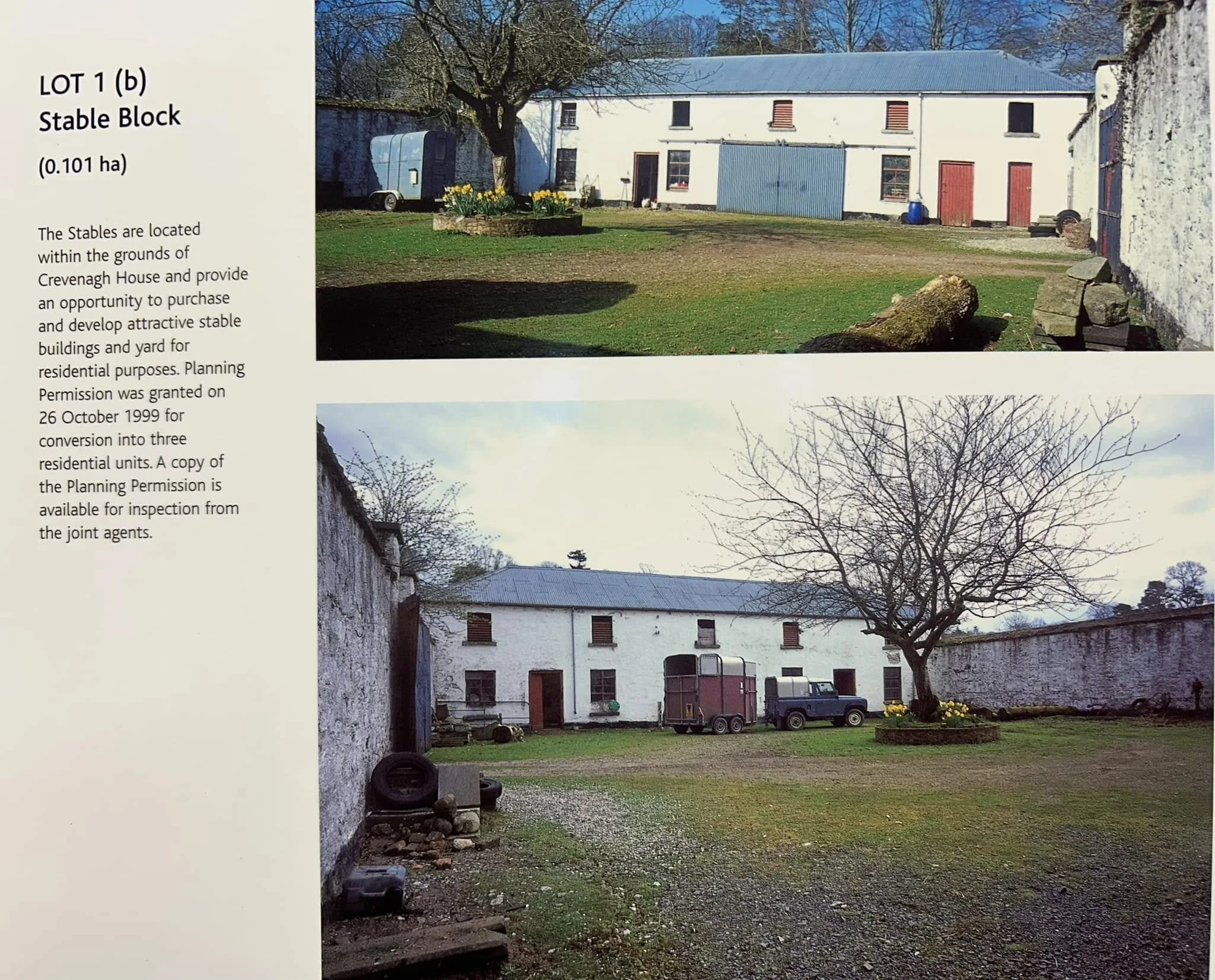 A rural scene with an old white barn with red and blue doors, a shed, and a large tree with bare branches. There is a small garden with yellow flowers, an area with grass, rocks, and a gravel driveway. The sky is clear and blue.