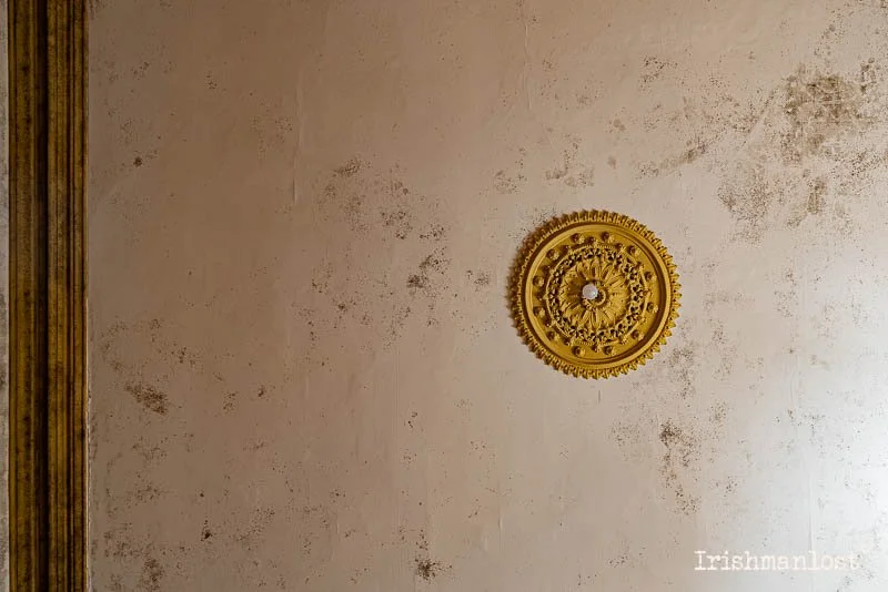 Original ceiling rose and coving 