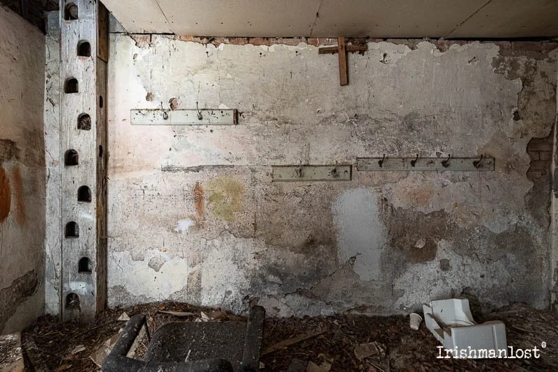 Original Ladder leading to possibly hay barn