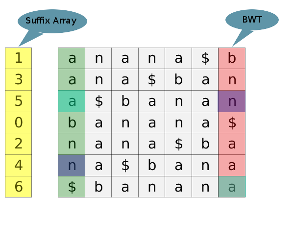 This image shows the BWT transform for banana$.