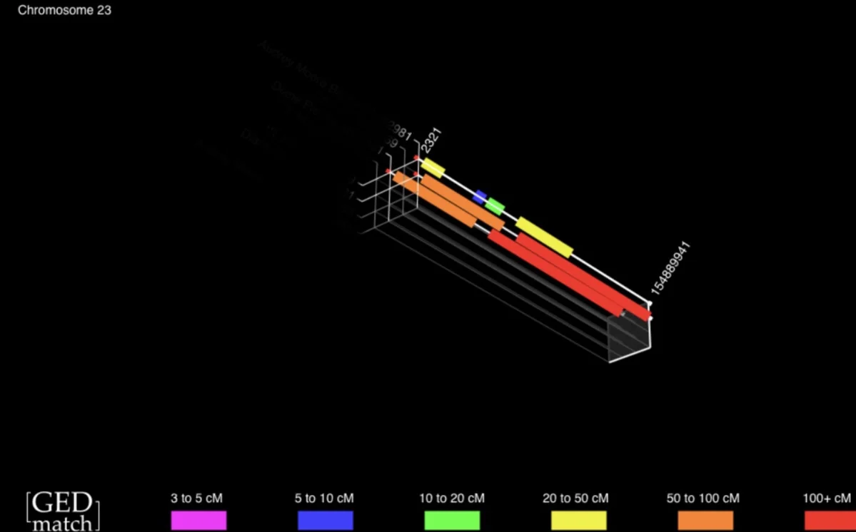 Here is a 3D image of an anonymous female user and her top three female matches and her X-Chomosome. Why is this beneficial? We can see there are very large segments that match with our user and two of her matches and the chunks are almost identical; this would indicate a very close relation with a very high probability and also that these matches are coming from her maternal line. Our third match has some nice size segments that she shares with our anon user. However, she shares no matching segments with the other two matches. I predicted that this match was related to the anon user on her paternal line (remember we do get an X-chromosome from our father as well as our mother) Cross examining with autosomal DNA and other matches from the paternal side I was able to confirm this.